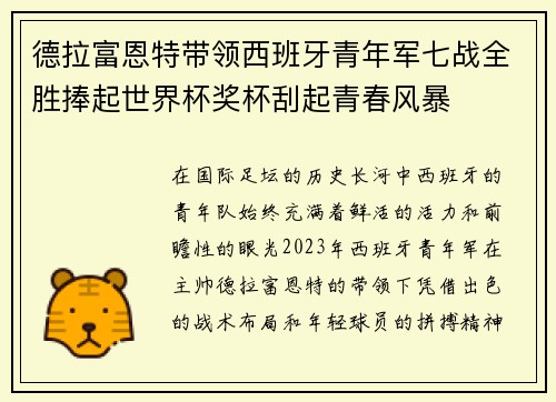 德拉富恩特带领西班牙青年军七战全胜捧起世界杯奖杯刮起青春风暴
